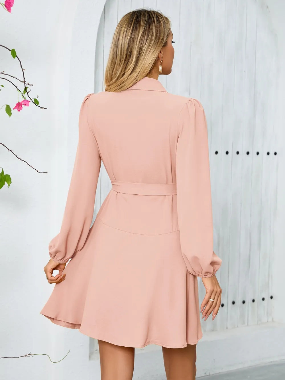 Surplice Tie Waist Long Sleeve Mini Dress - LaTezza Online Shop