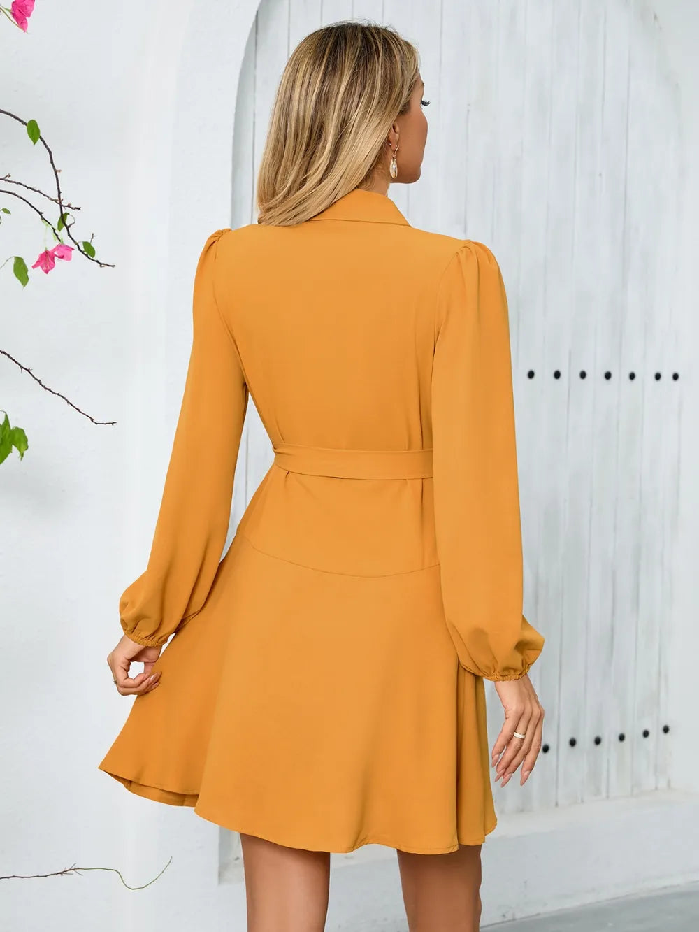 Surplice Tie Waist Long Sleeve Mini Dress - LaTezza Online Shop