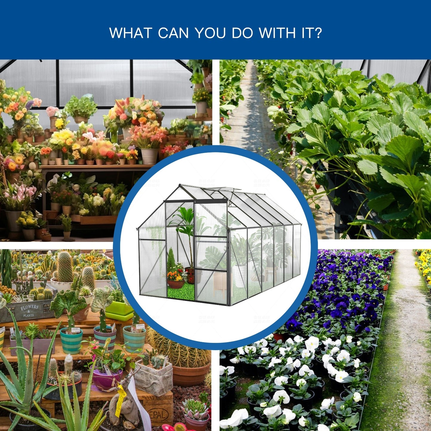 6x12 FT Polycarbonate Greenhouse W Raised Base Anchor, Heavy Duty Walk-in - LaTezza Online Shop