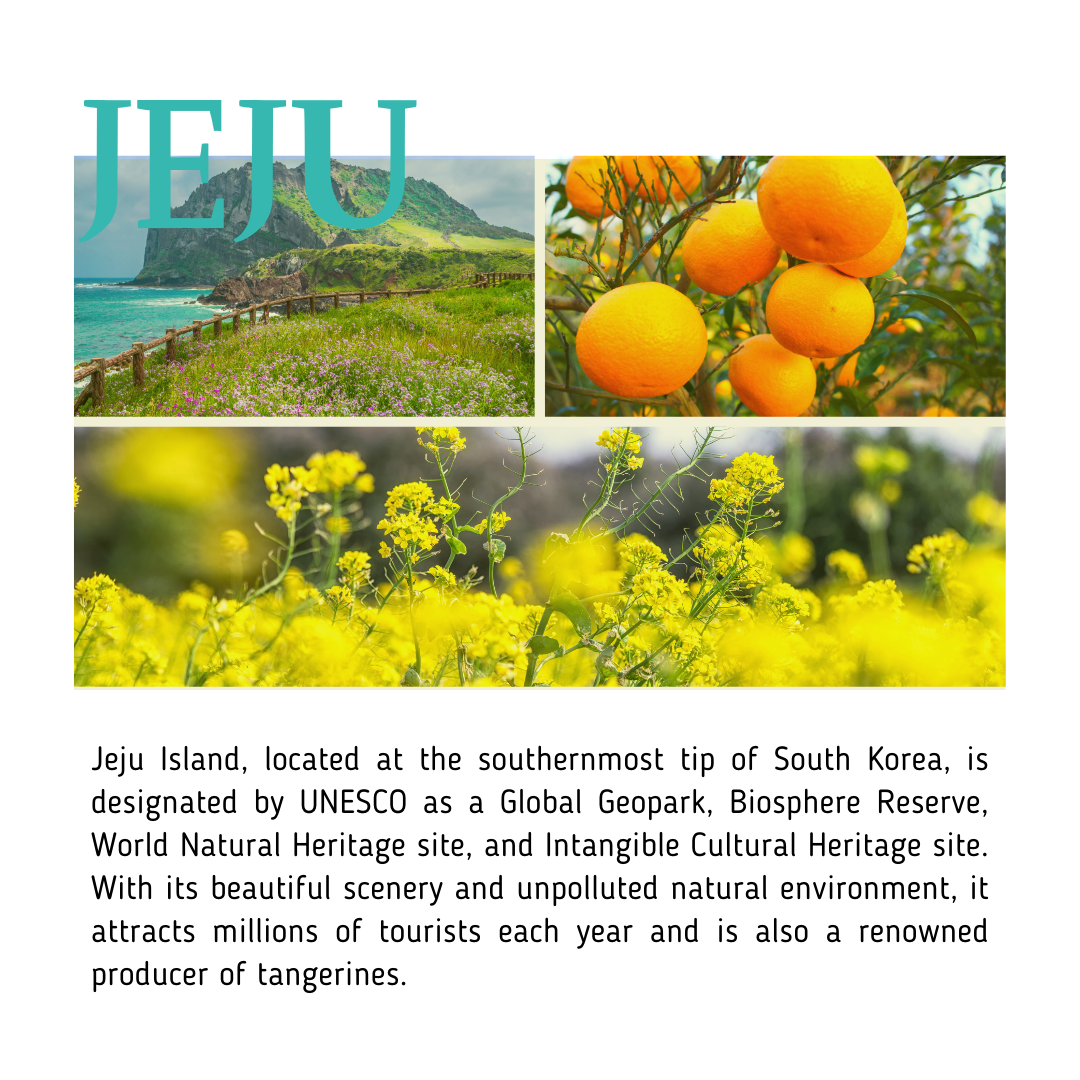 BeaumAnt Jeju Green Tangerine Cleansing Water 500ml - LaTezza Online Shop
