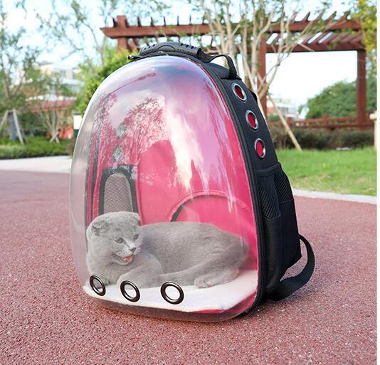 Transparent Backpack Pet Backpack - LaTezza Online Shop