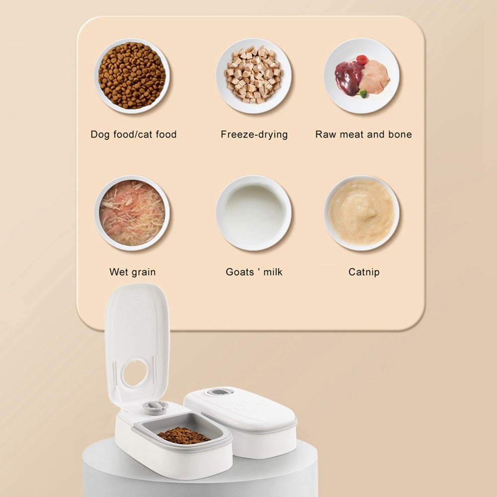Automatic Pet Feeder Smart Food Dispenser For Cats Dogs Timer Stainless Steel Bowl Auto Dog Cat Pet Feeding Pets Supplies - LaTezza Online Shop