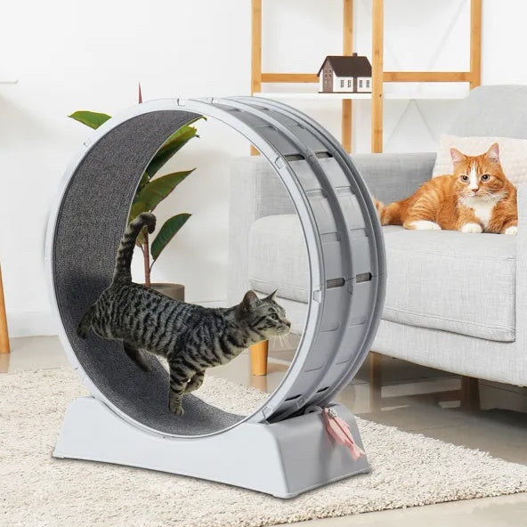 Cat Exercise Wheel, 31 Inch For Indoor Cat Treadmill With Carpeted Runway