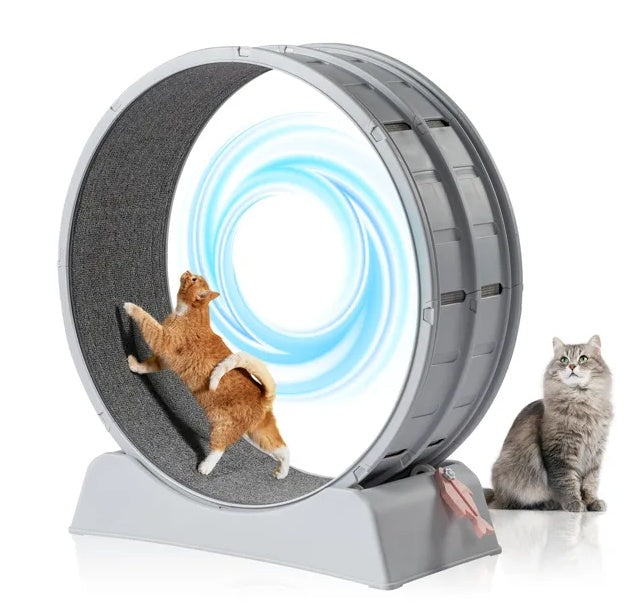 Cat Exercise Wheel, 31 Inch For Indoor Cat Treadmill With Carpeted Runway