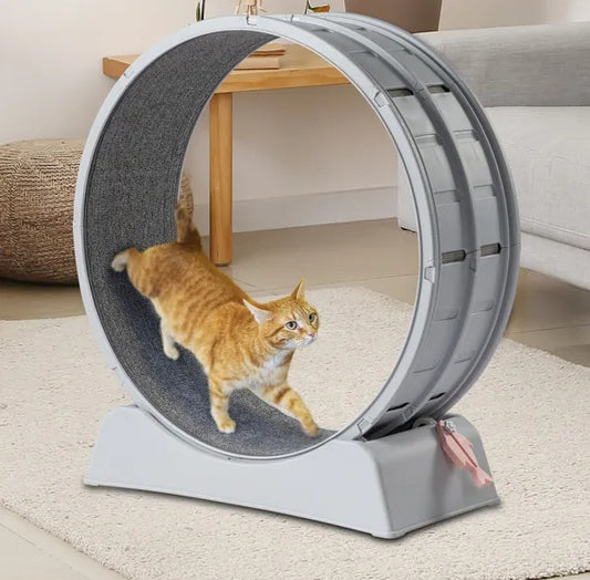 Cat Exercise Wheel, 31 Inch For Indoor Cat Treadmill With Carpeted Runway