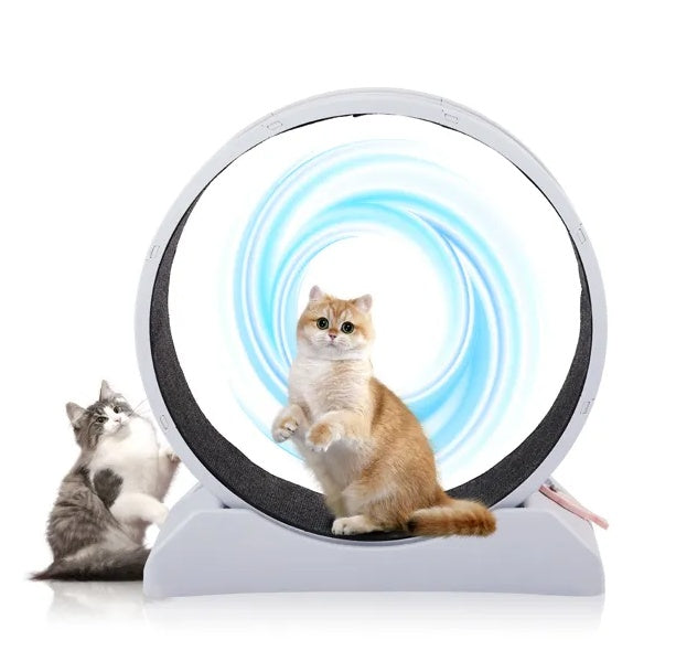 Cat Exercise Wheel, 31 Inch For Indoor Cat Treadmill With Carpeted Runway
