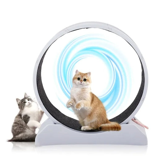 Cat Exercise Wheel, 31 Inch For Indoor Cat Treadmill With Carpeted Runway