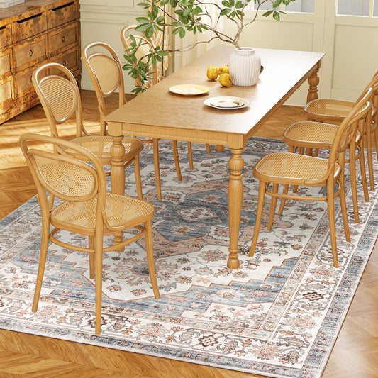 4x6 Area Rug, Vintage Machine Washable Rug, Non-Slip Carpet For Living Room, Bedroom, Dining Room, Brown & Light Blue