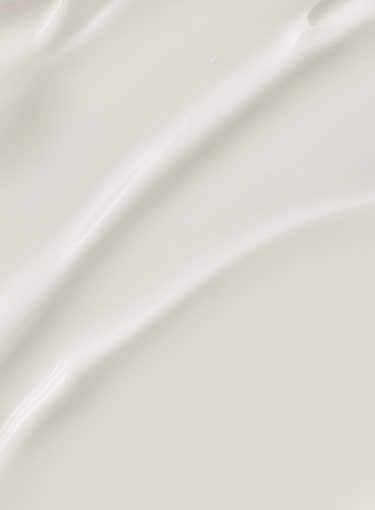 [Beauty of Joseon] Pine Grove Body Cream 400ml - LaTezza Online Shop